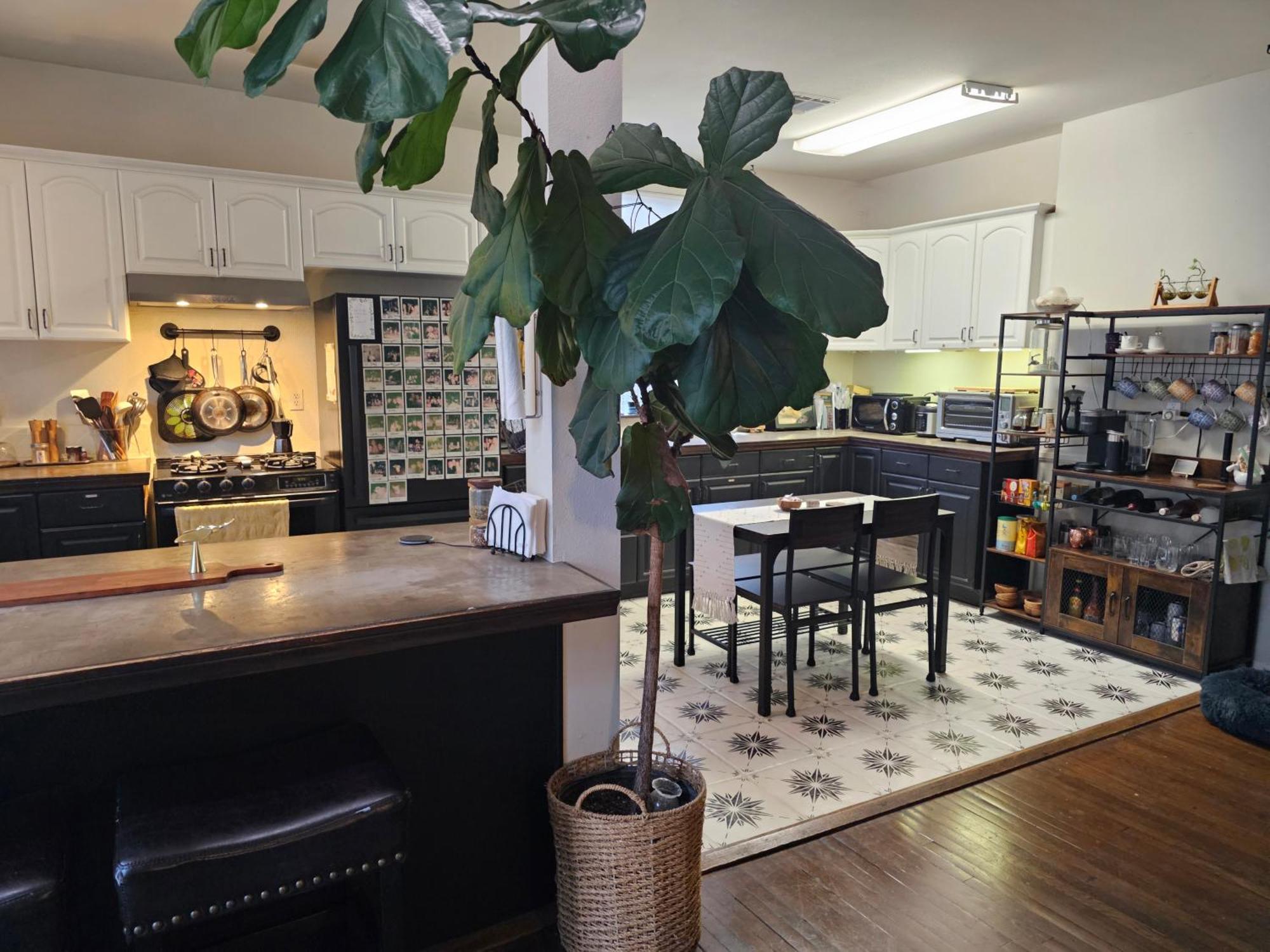 Tranquility At The House Of Alchemy Hollywood Séjour chez l'habitant *